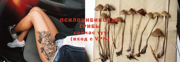 стаф Бородино