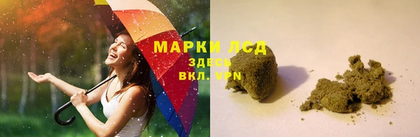 стаф Бородино