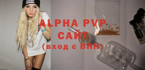 стаф Бородино