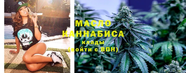 стаф Бородино