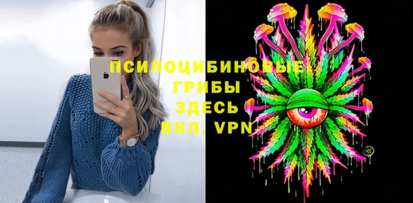 стаф Бородино